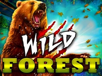 Wild Forest